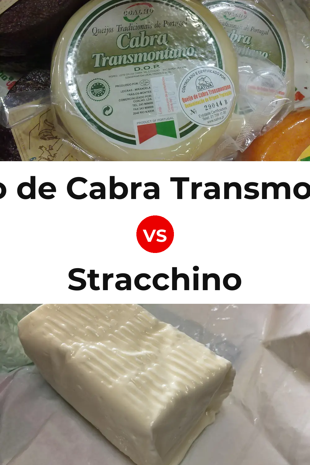 Queijo de Cabra Transmontano vs Stracchino Cheese Pinterest comparison