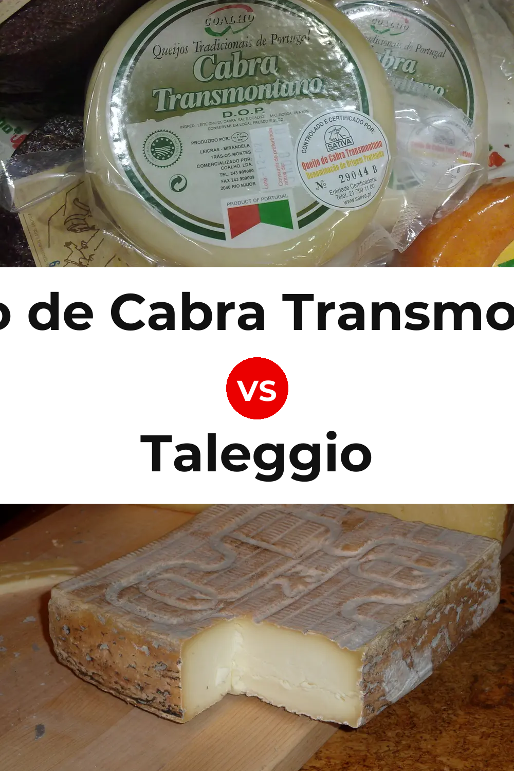 Queijo de Cabra Transmontano vs Taleggio Cheese Pinterest comparison