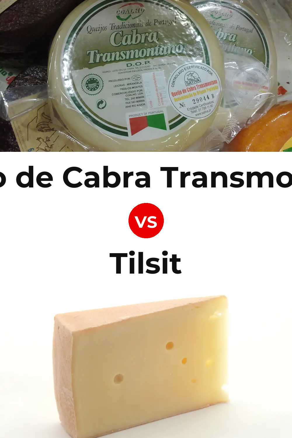 Queijo de Cabra Transmontano vs Tilsit Cheese Pinterest comparison