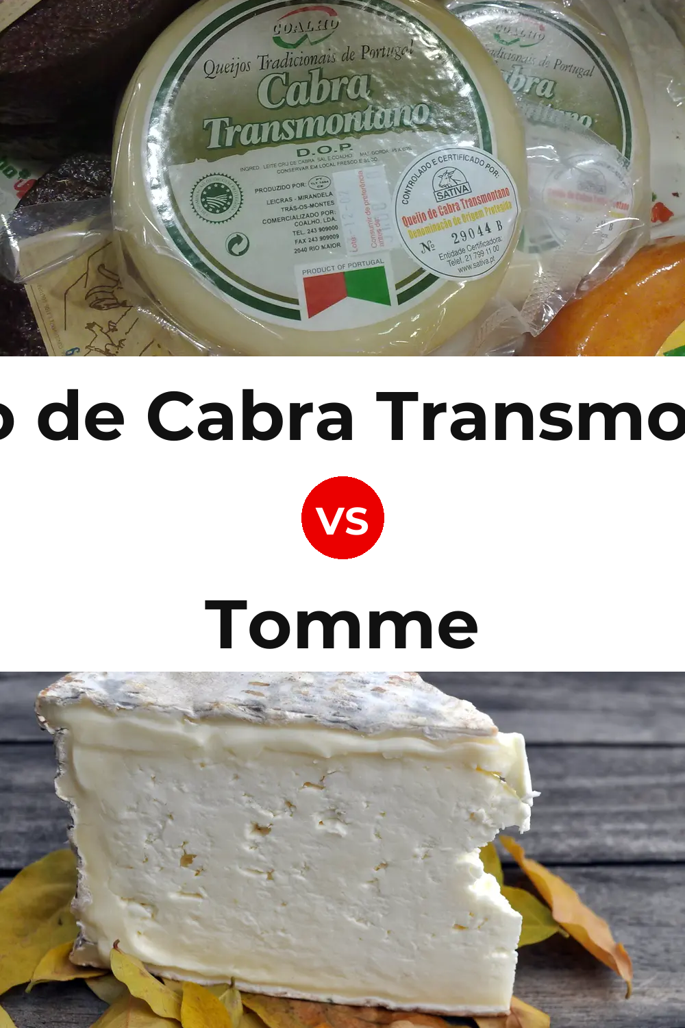Queijo de Cabra Transmontano vs Tomme Cheese Pinterest comparison