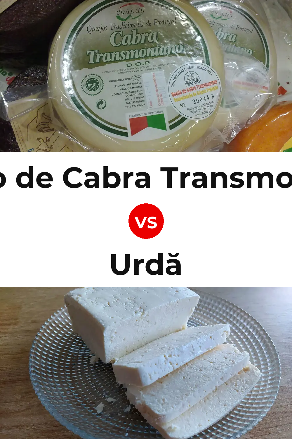 Queijo de Cabra Transmontano vs Urdă Cheese Pinterest comparison