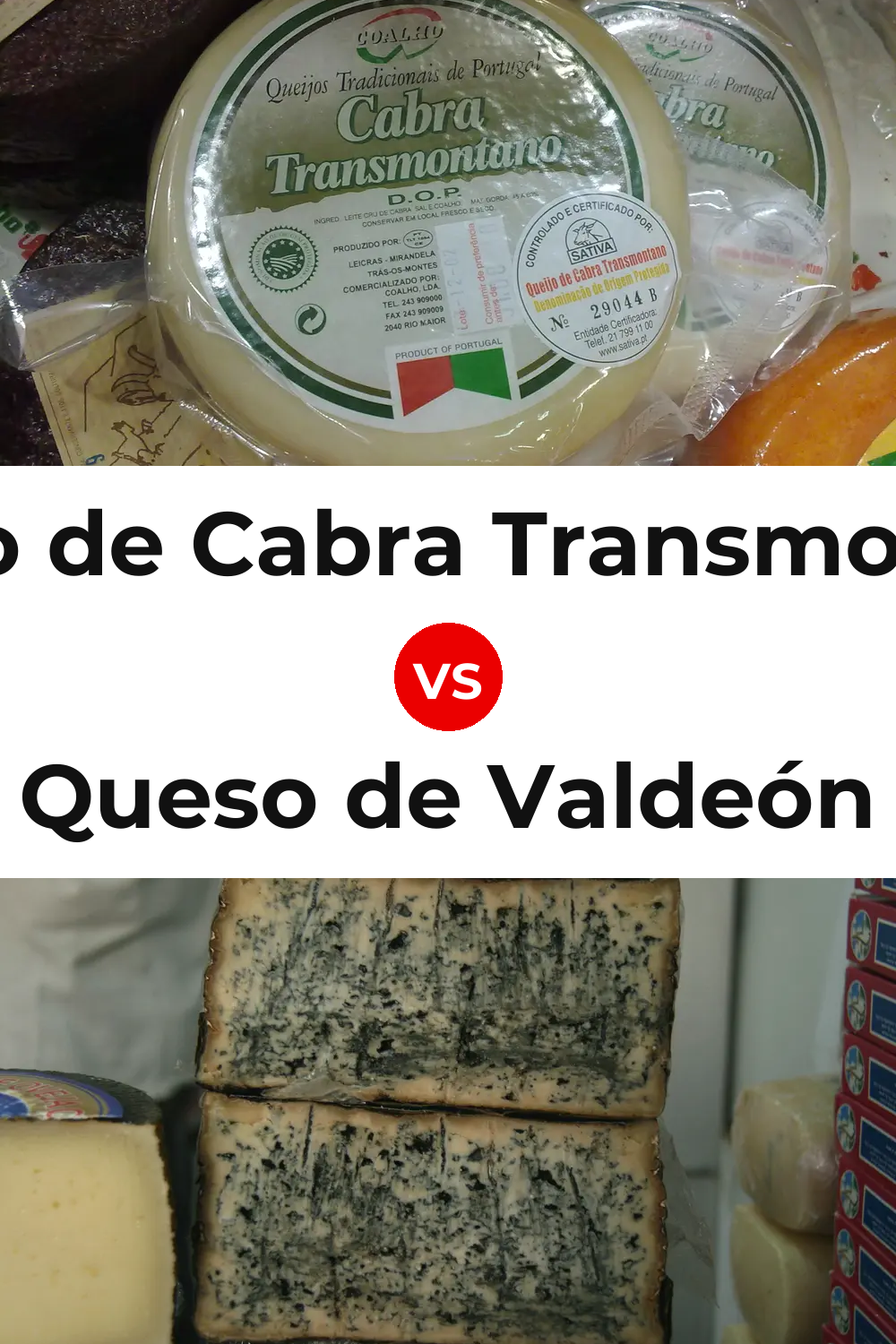Queijo de Cabra Transmontano vs Queso de Valdeón Pinterest comparison