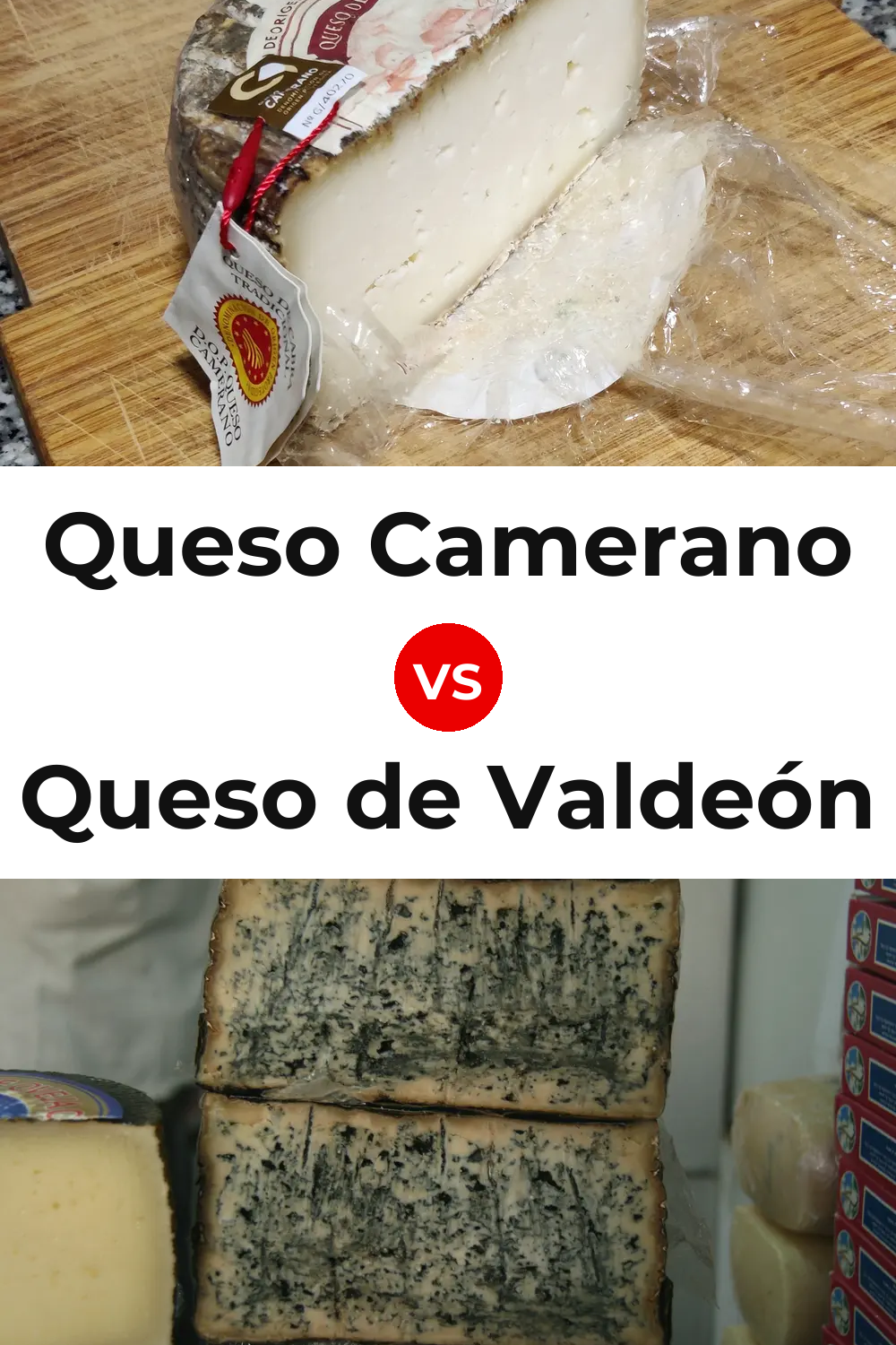 Queso Camerano vs Queso de Valdeón Pinterest comparison