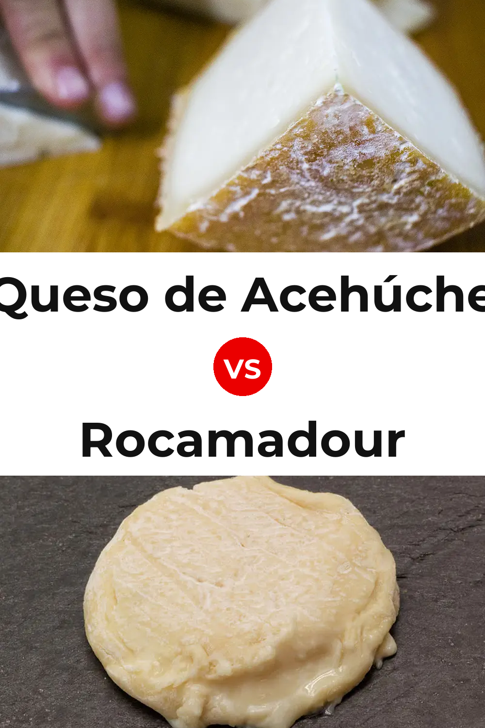 Queso de Acehúche vs Rocamadour Cheese Pinterest comparison