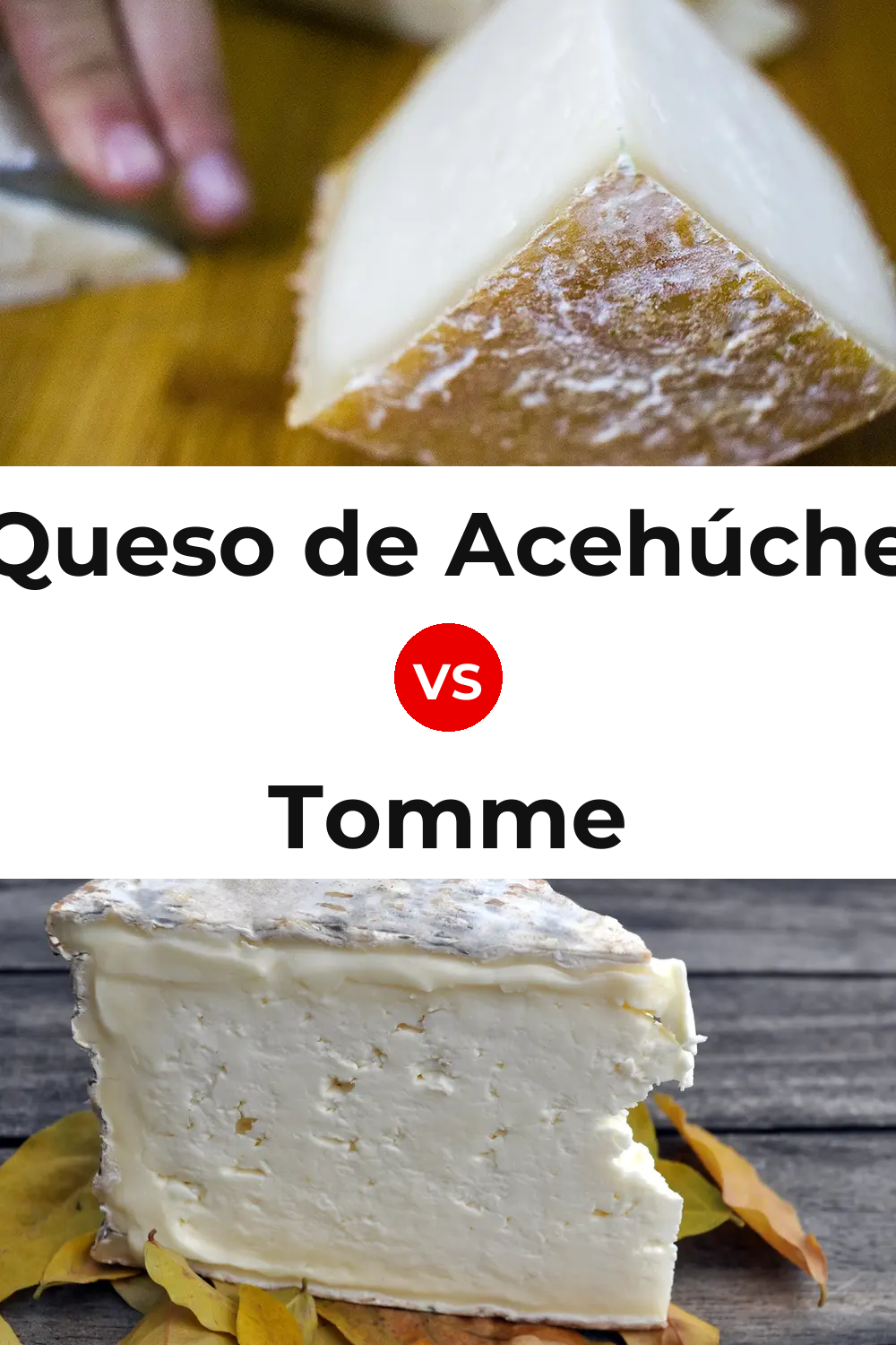 Queso de Acehúche vs Tomme Cheese Pinterest comparison