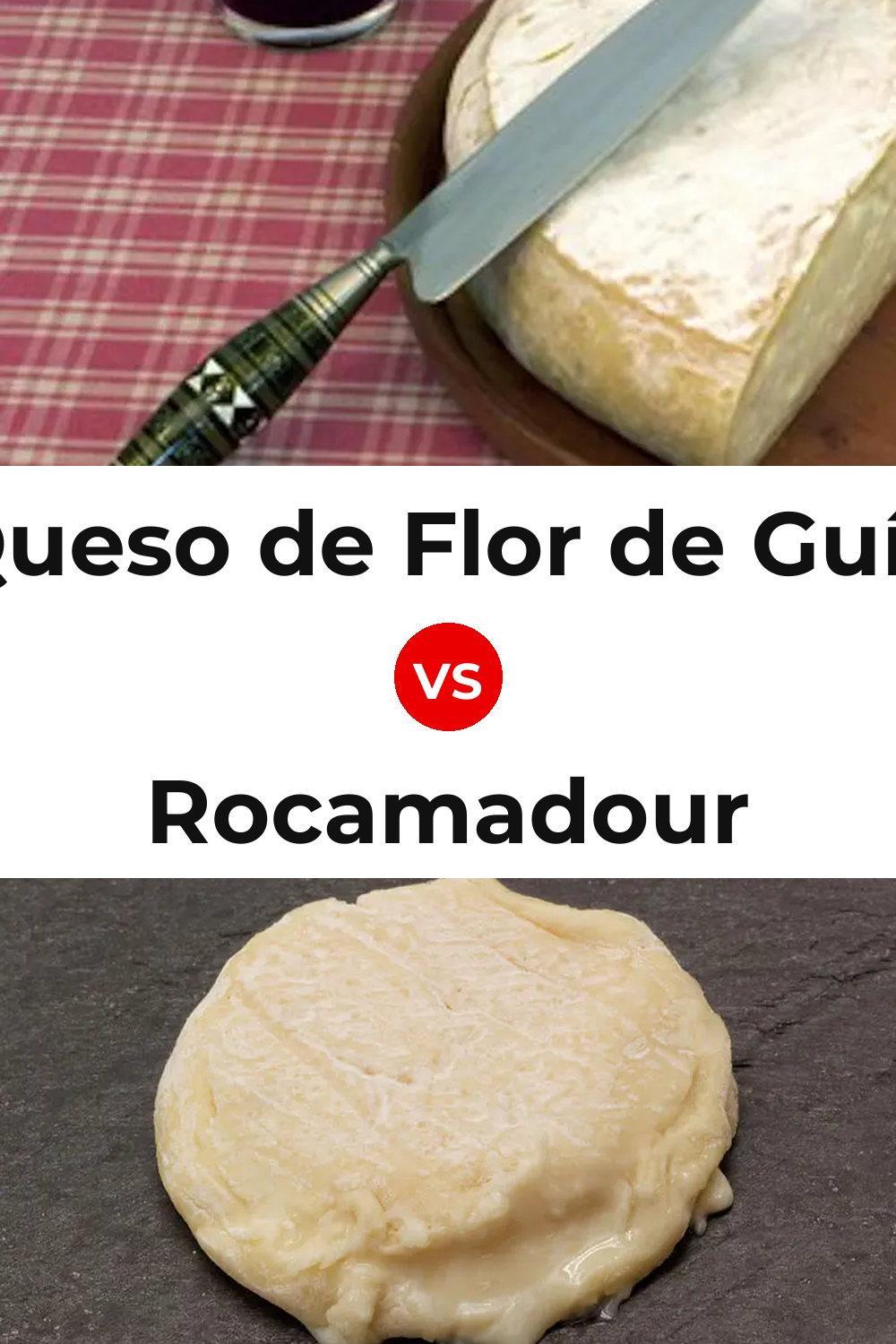 Queso de Flor de Guía vs Rocamadour Cheese Pinterest comparison