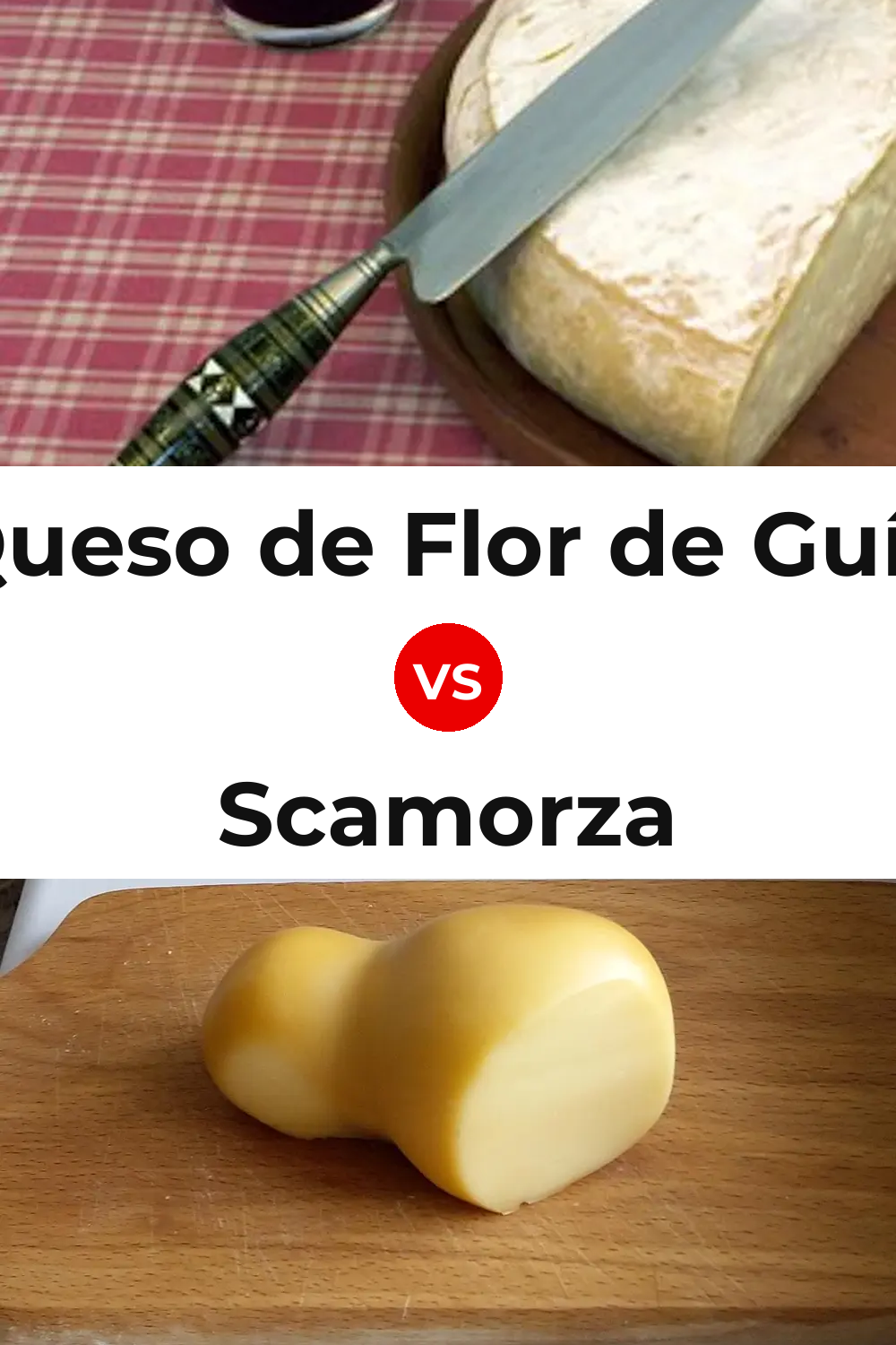 Queso de Flor de Guía vs Scamorza Cheese Pinterest comparison