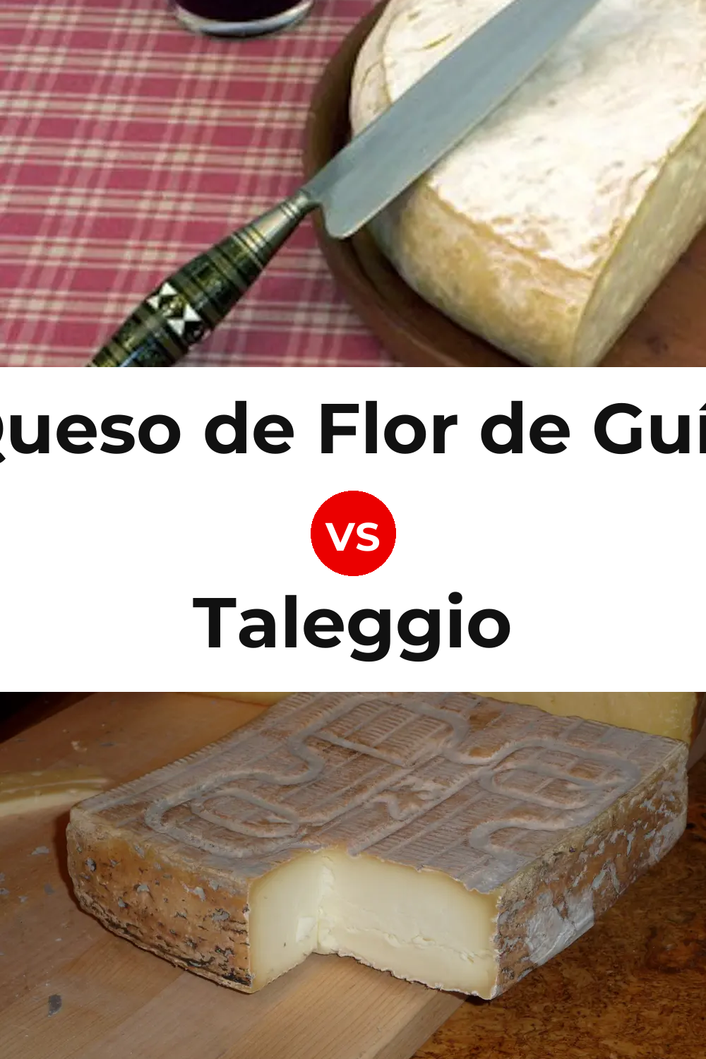 Queso de Flor de Guía vs Taleggio Cheese Pinterest comparison