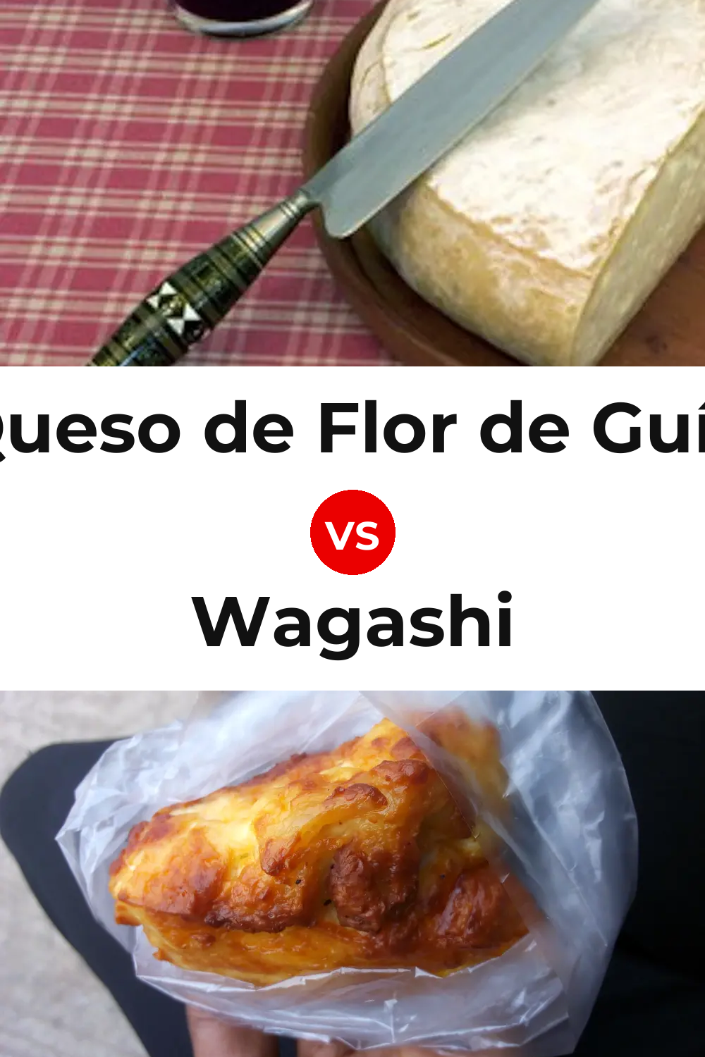 Queso de Flor de Guía vs Wagashi Cheese Pinterest comparison