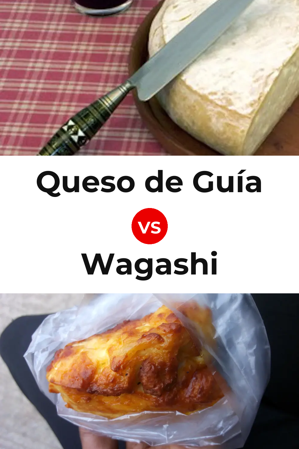 Queso de Guía vs Wagashi Cheese Pinterest comparison