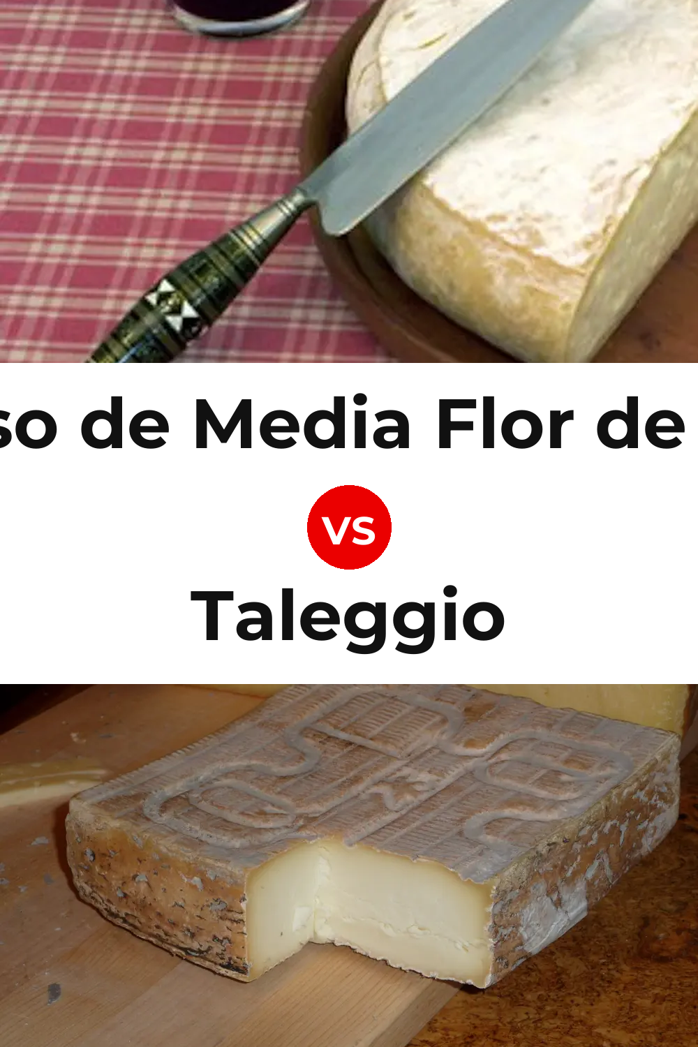 Queso de Media Flor de Guía vs Taleggio Cheese Pinterest comparison