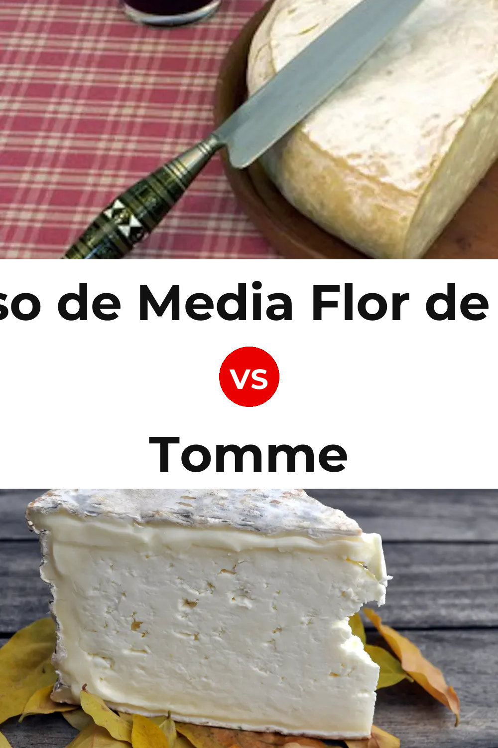 Queso de Media Flor de Guía vs Tomme Cheese Pinterest comparison