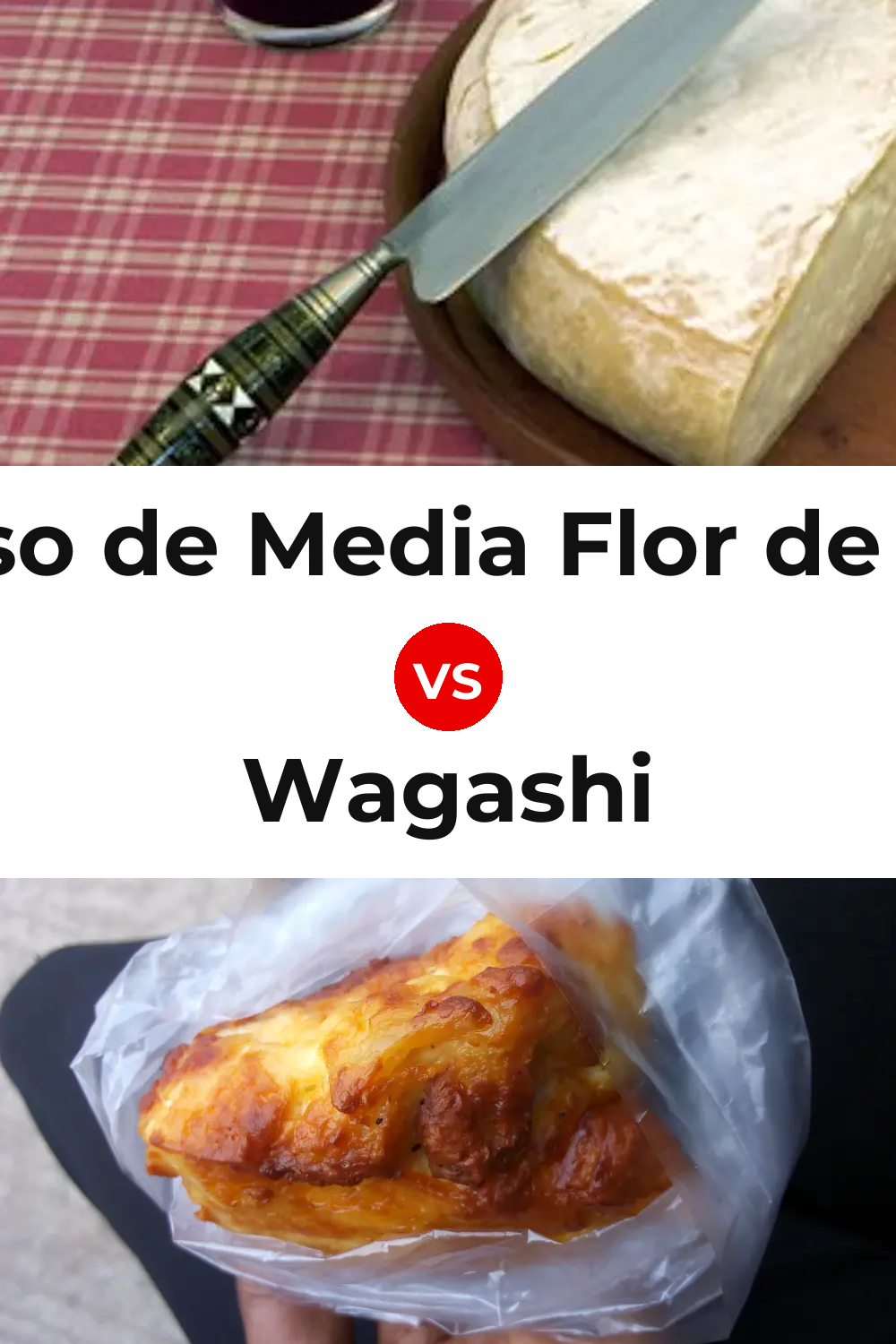 Queso de Media Flor de Guía vs Wagashi Cheese Pinterest comparison