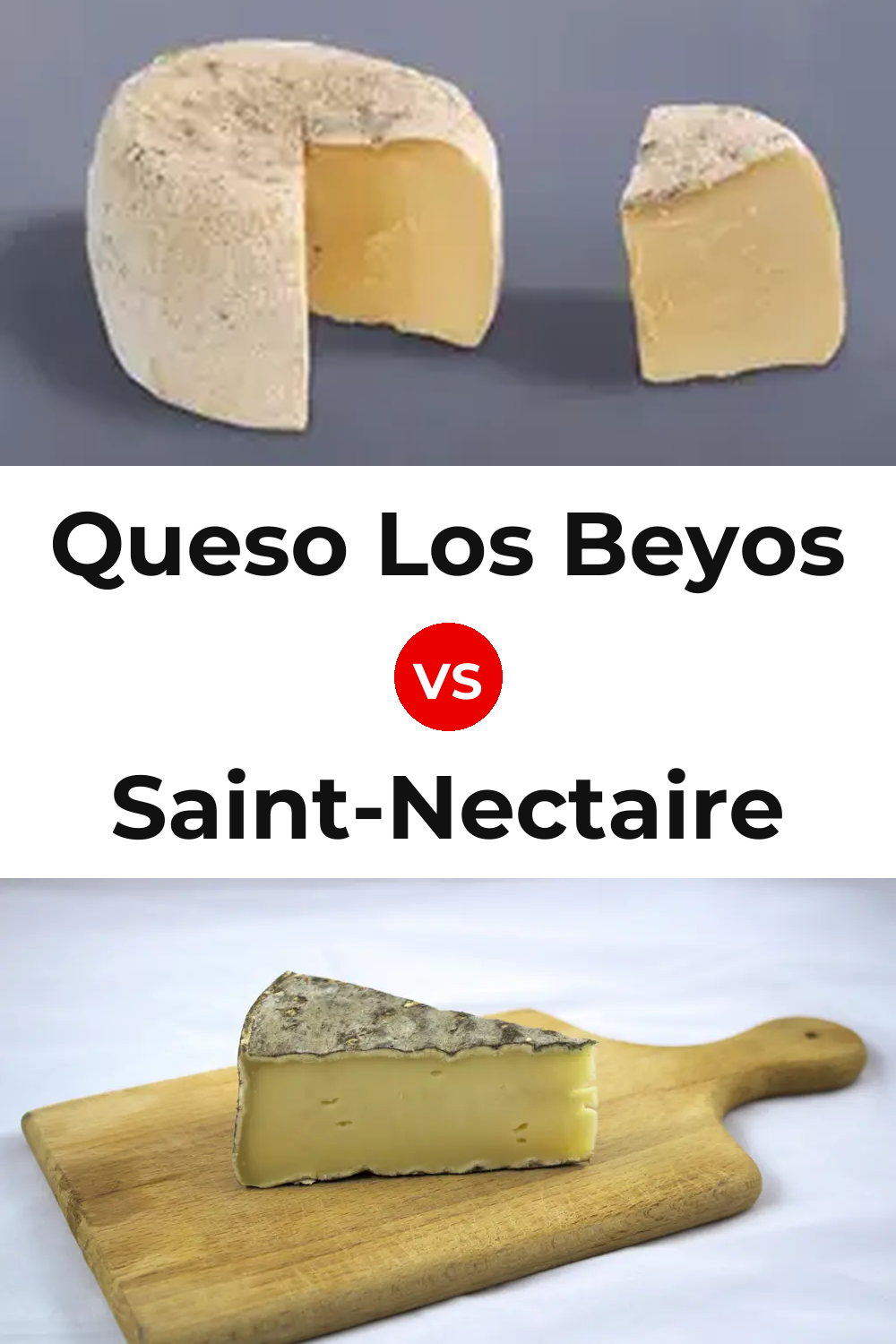 Queso Los Beyos vs Saint-Nectaire Cheese Pinterest comparison