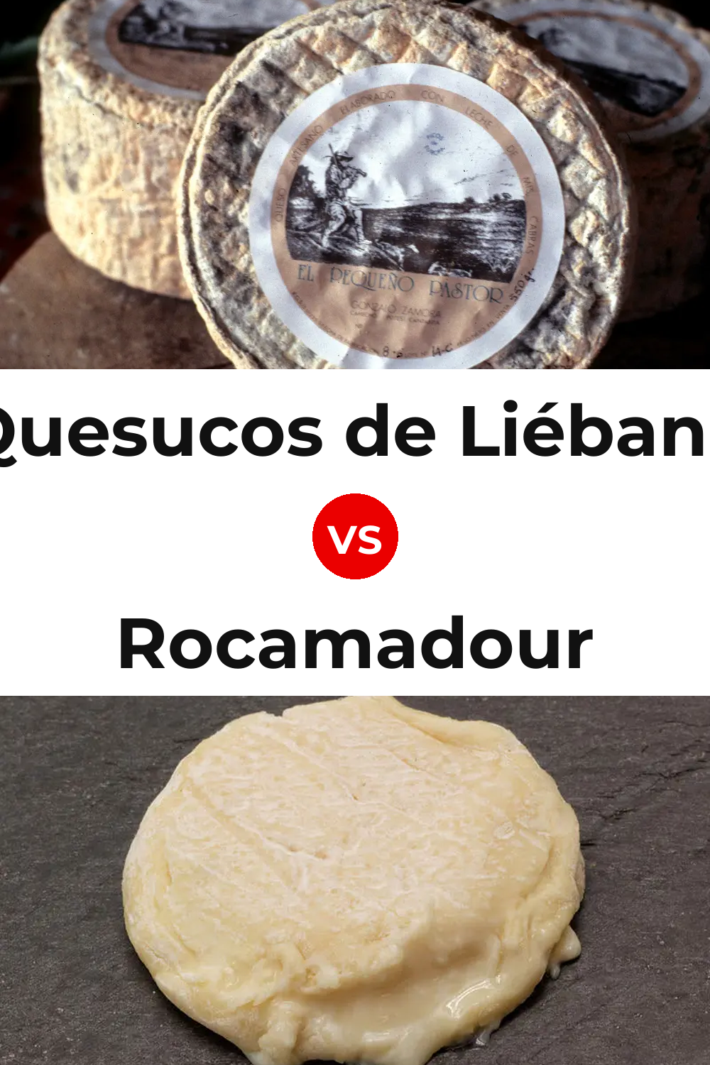 Quesucos de Liébana Cheese vs Rocamadour Cheese Pinterest comparison
