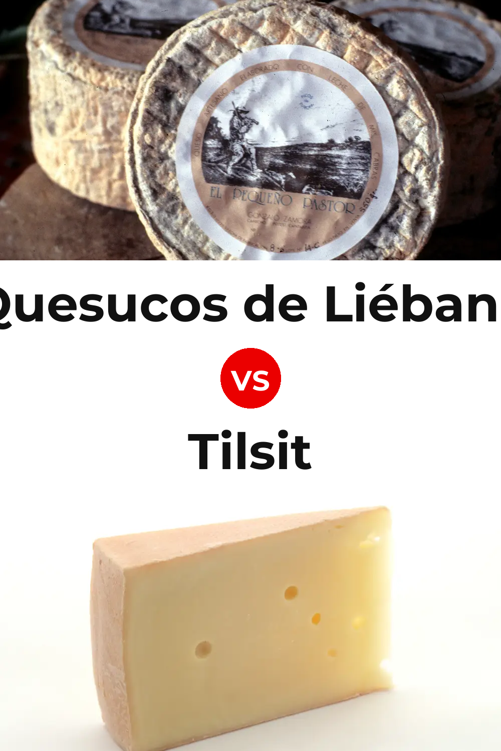 Quesucos de Liébana Cheese vs Tilsit Cheese Pinterest comparison