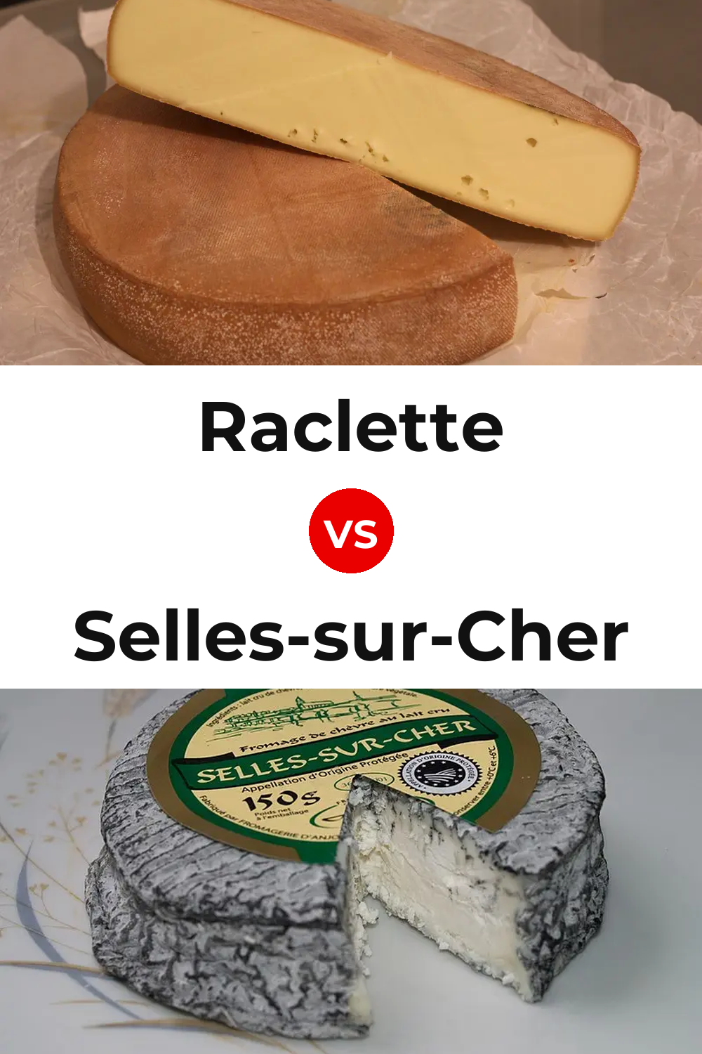 Raclette Cheese vs Selles-sur-Cher Cheese Pinterest comparison