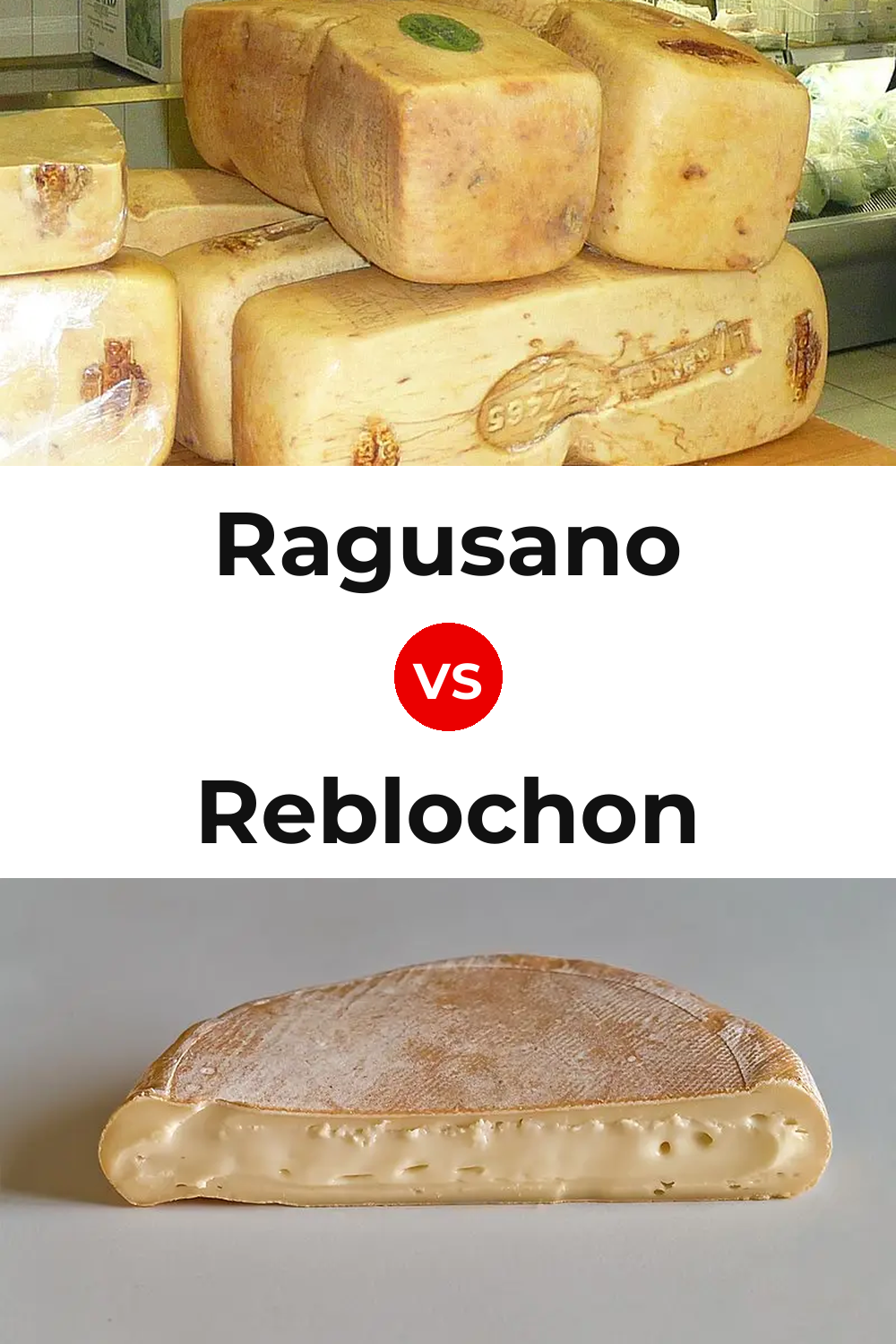 Ragusano Cheese vs Reblochon Cheese Pinterest comparison