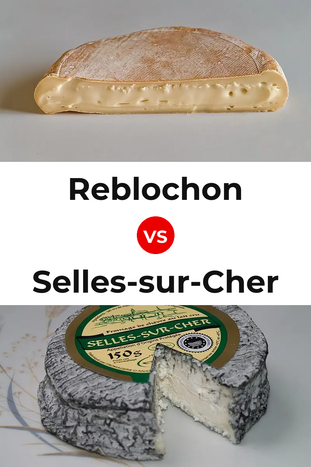 Reblochon Cheese vs Selles-sur-Cher Cheese Pinterest comparison