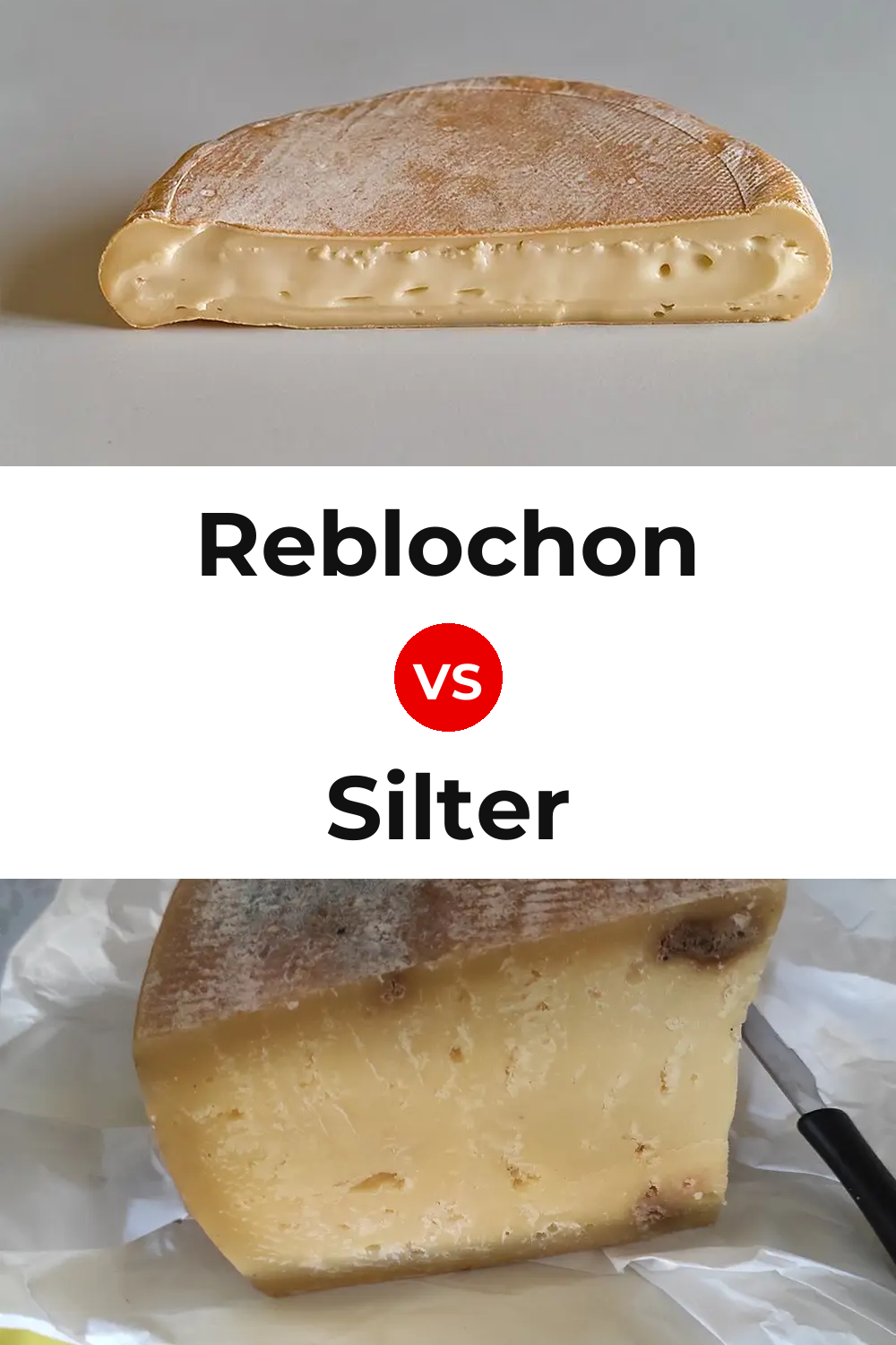 Reblochon Cheese vs Silter Cheese Pinterest comparison
