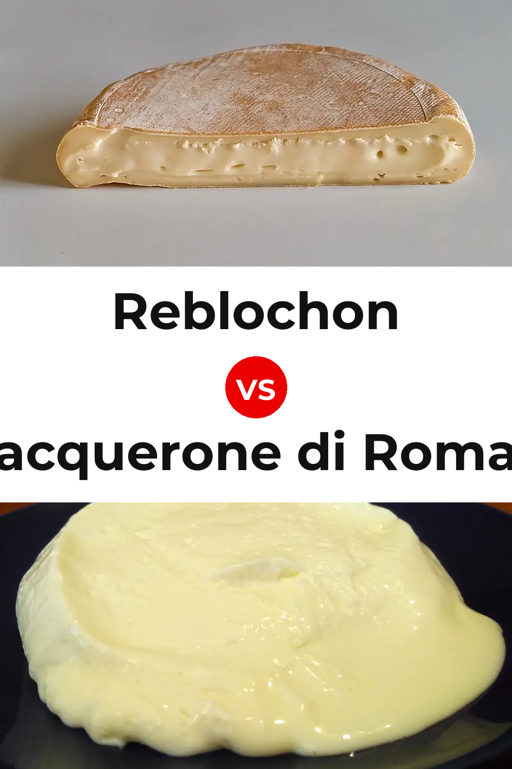 Reblochon Cheese vs Squacquerone di Romagna Cheese Pinterest comparison