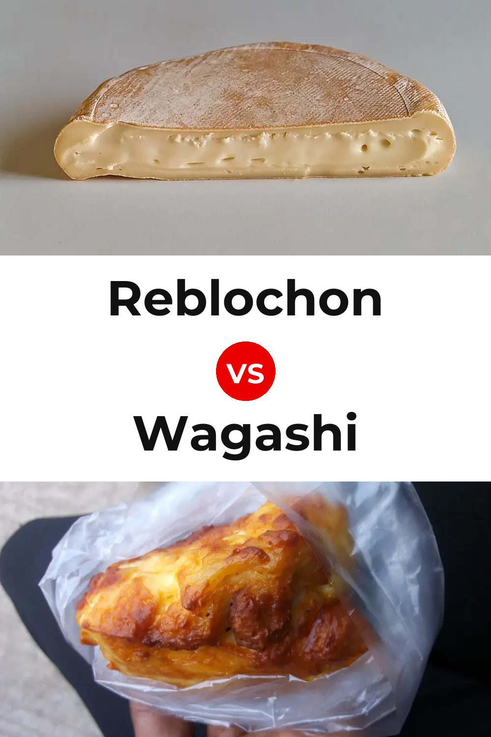 Reblochon Cheese vs Wagashi Cheese Pinterest comparison