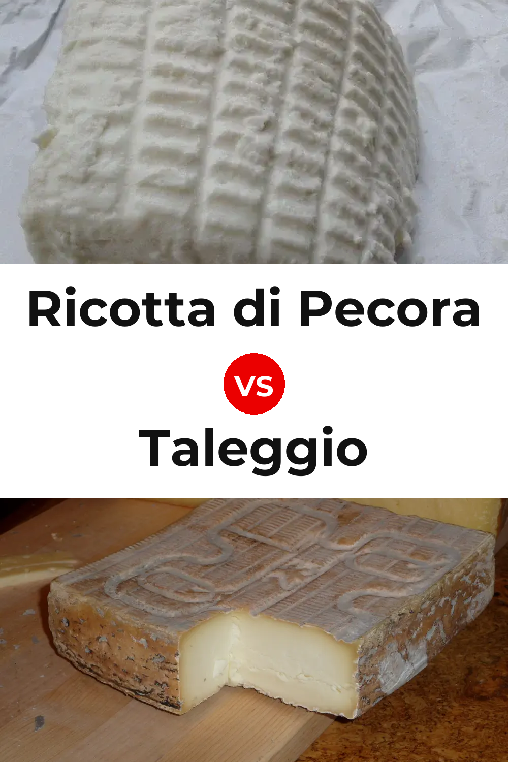 Ricotta di Pecora Cheese vs Taleggio Cheese Pinterest comparison