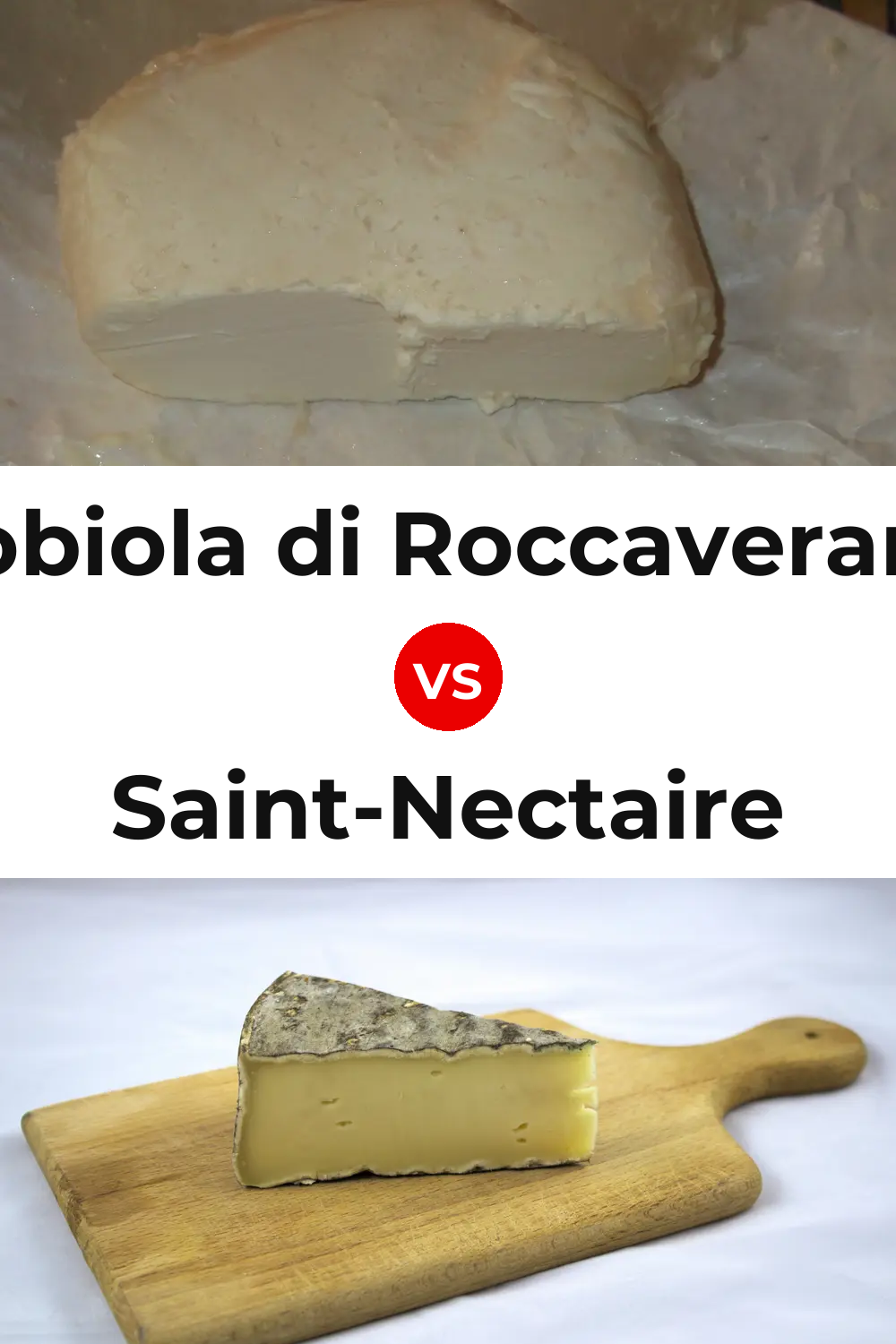 Robiola di Roccaverano Cheese vs Saint-Nectaire Cheese Pinterest comparison