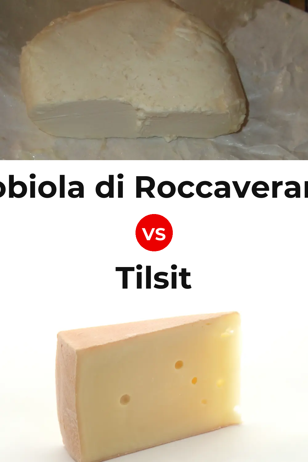 Robiola di Roccaverano Cheese vs Tilsit Cheese Pinterest comparison