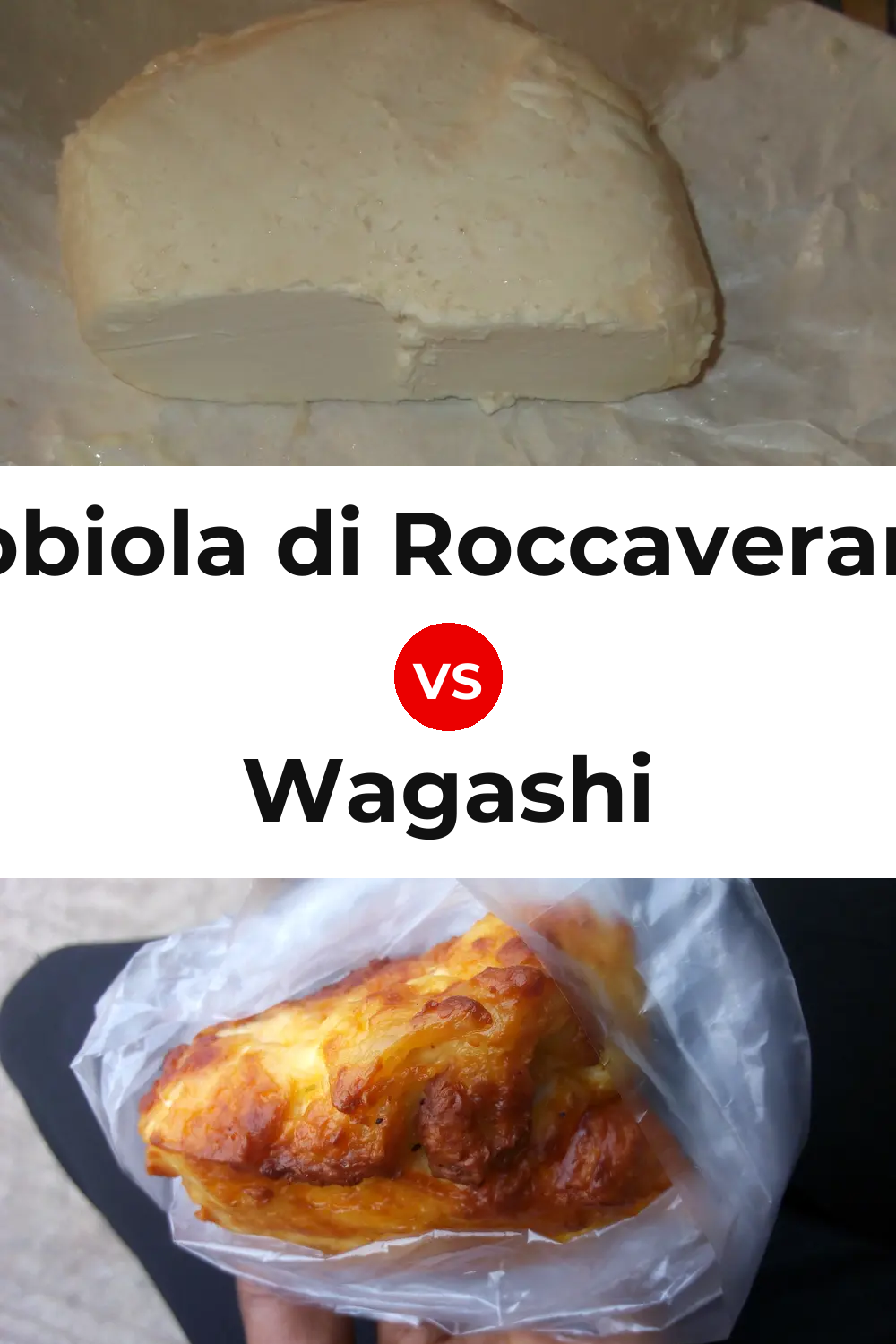 Robiola di Roccaverano Cheese vs Wagashi Cheese Pinterest comparison