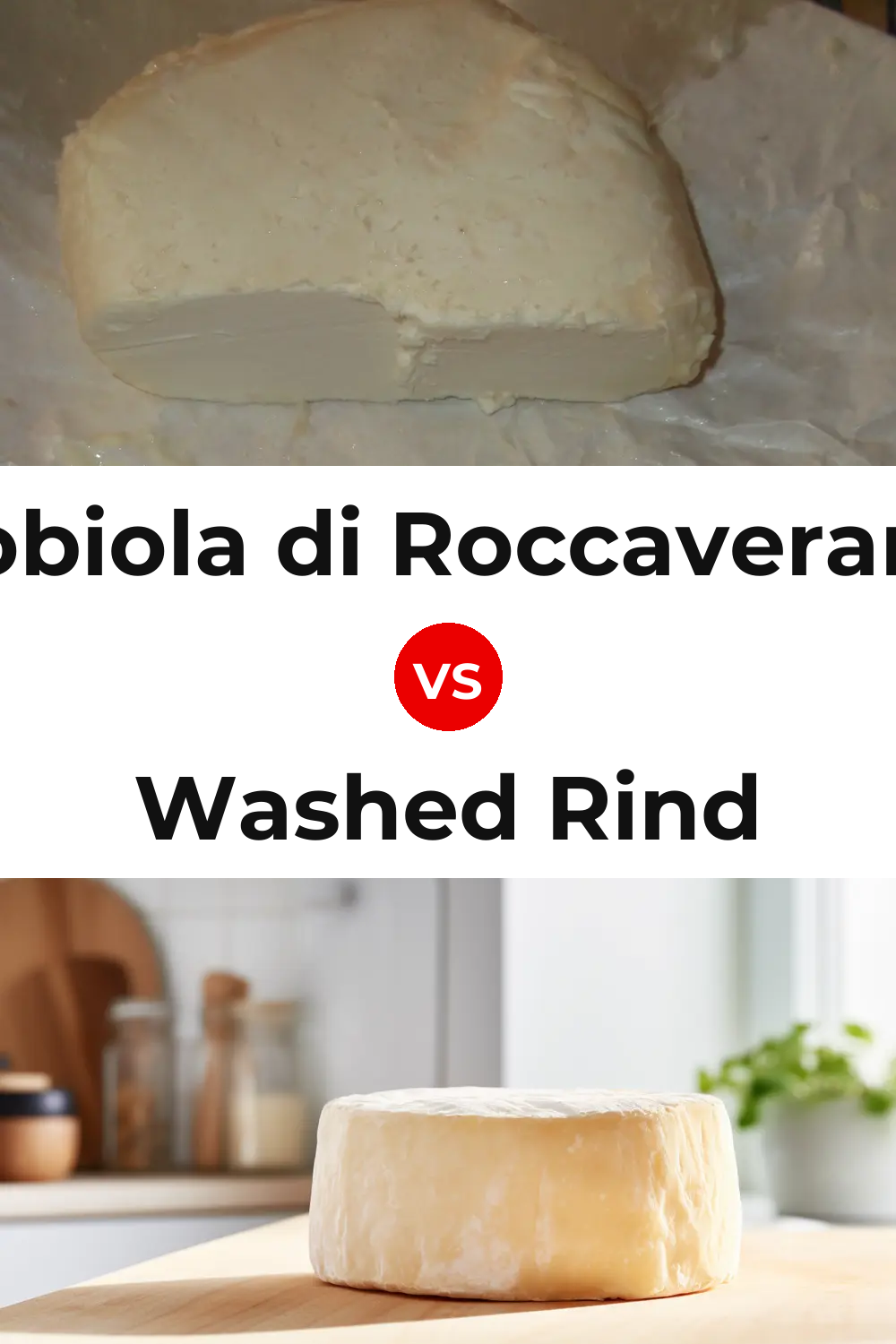 Robiola di Roccaverano Cheese vs Washed Rind Cheese Pinterest comparison
