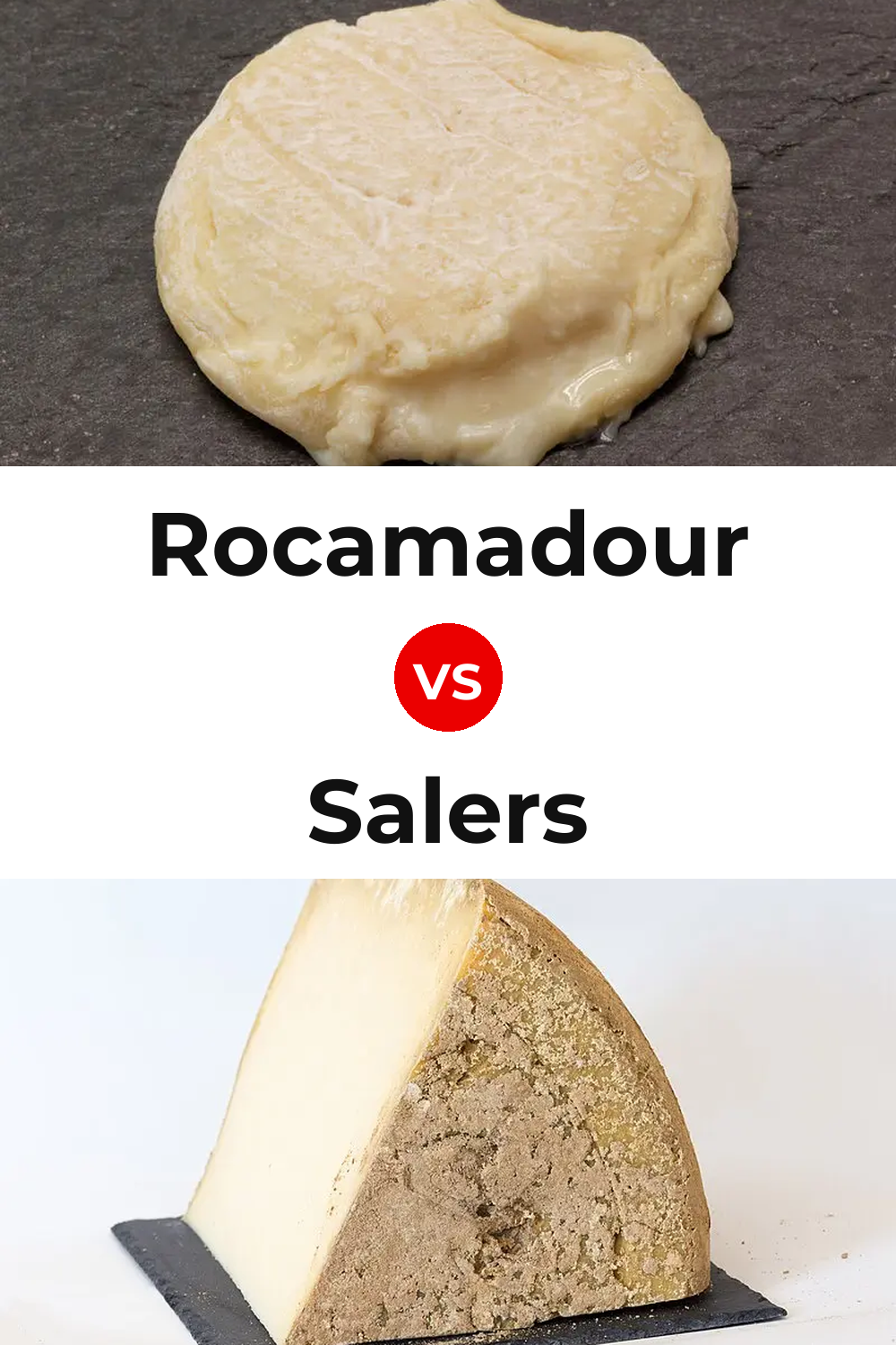 Rocamadour Cheese vs Salers Cheese Pinterest comparison