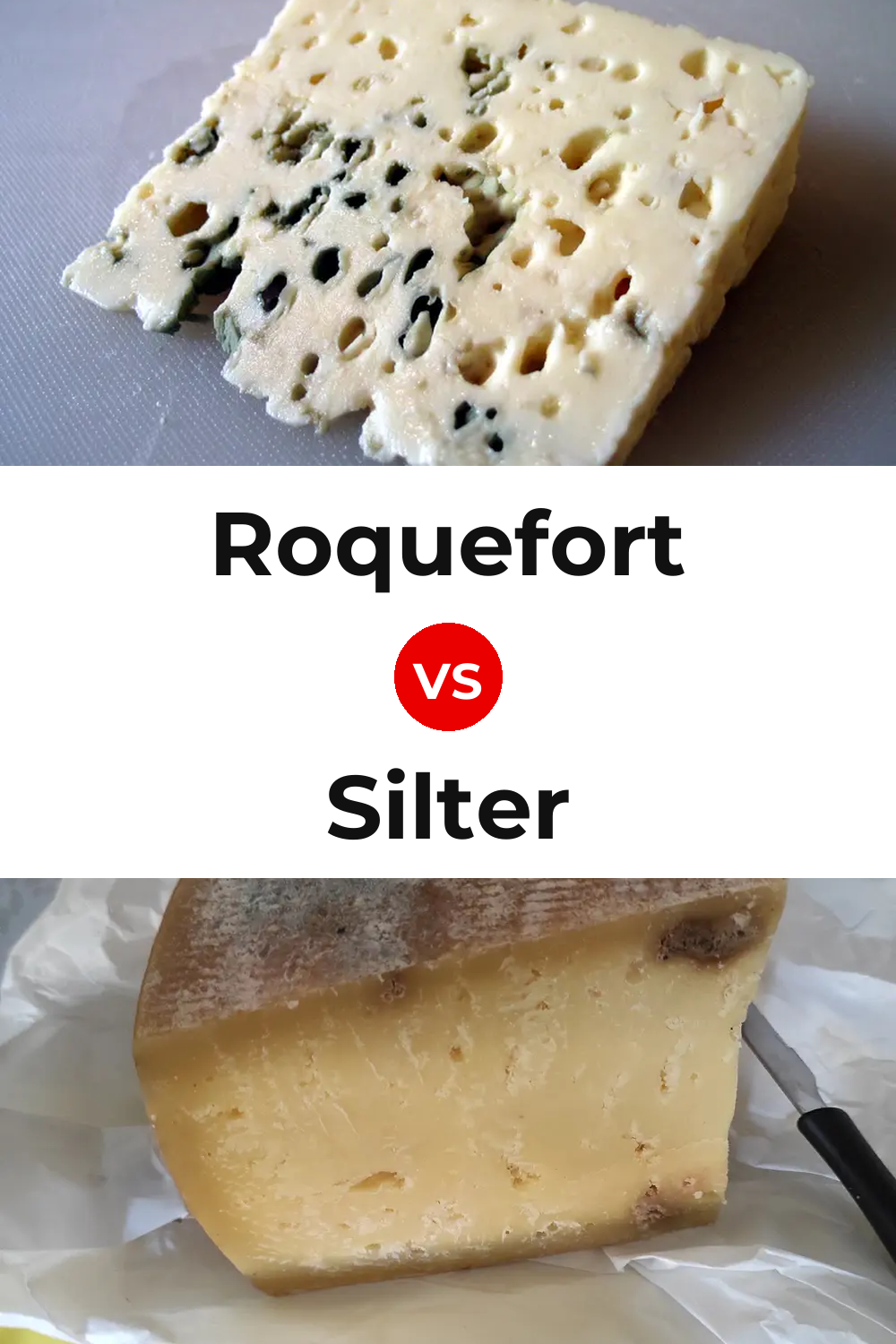 Roquefort Cheese vs Silter Cheese Pinterest comparison
