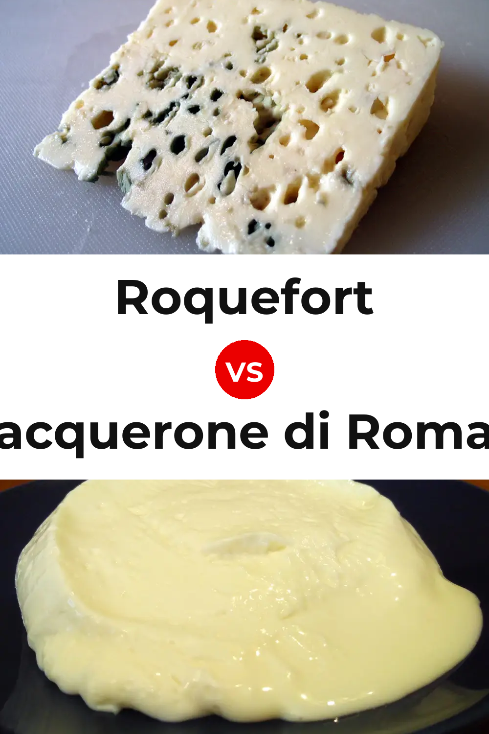 Roquefort Cheese vs Squacquerone di Romagna Cheese Pinterest comparison