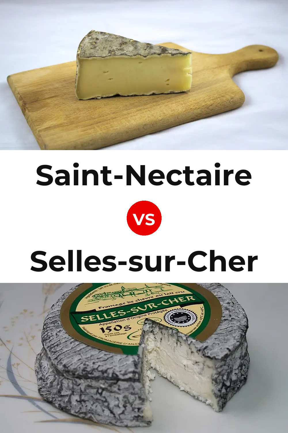 Saint-Nectaire Cheese vs Selles-sur-Cher Cheese Pinterest comparison