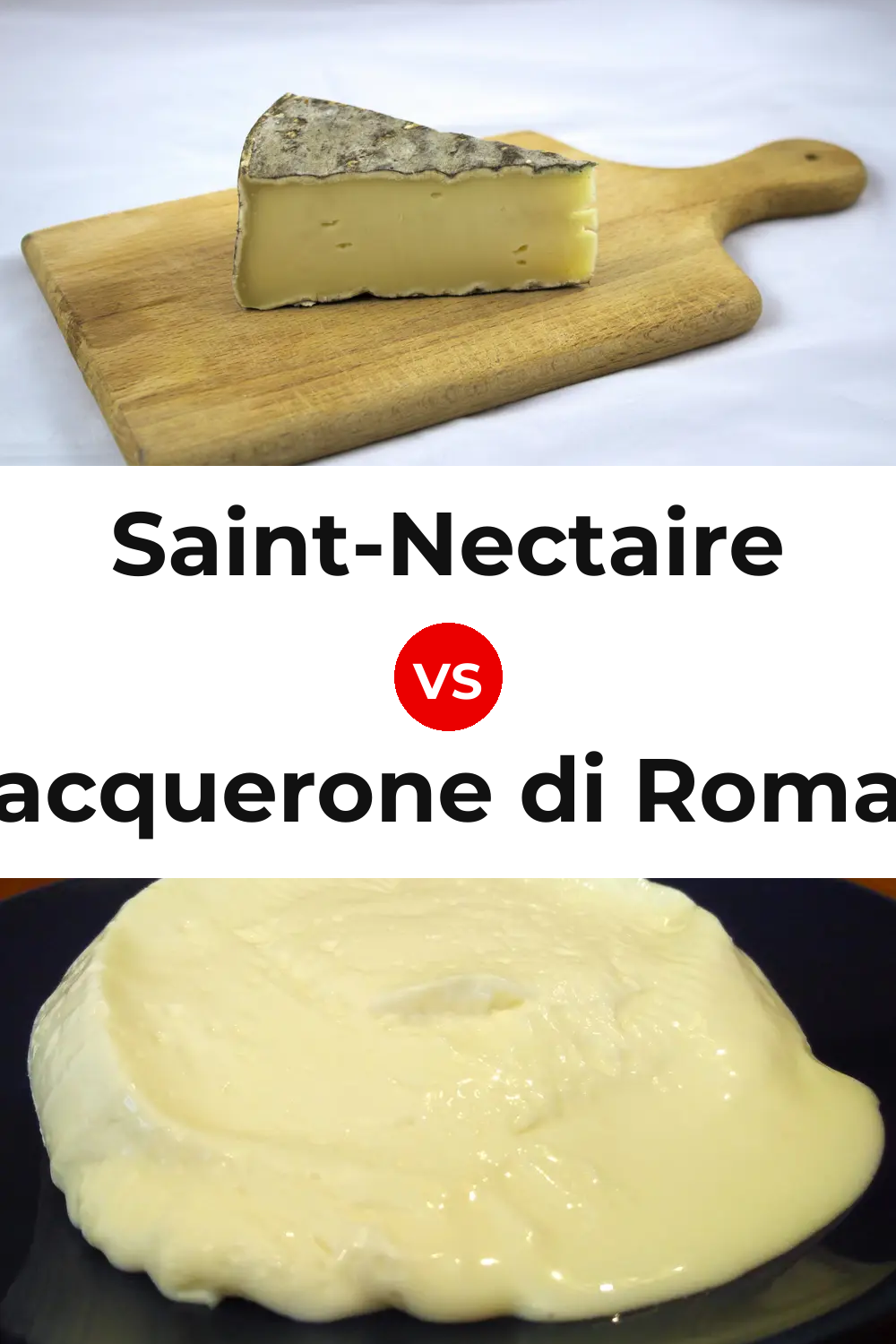 Saint-Nectaire Cheese vs Squacquerone di Romagna Cheese Pinterest comparison