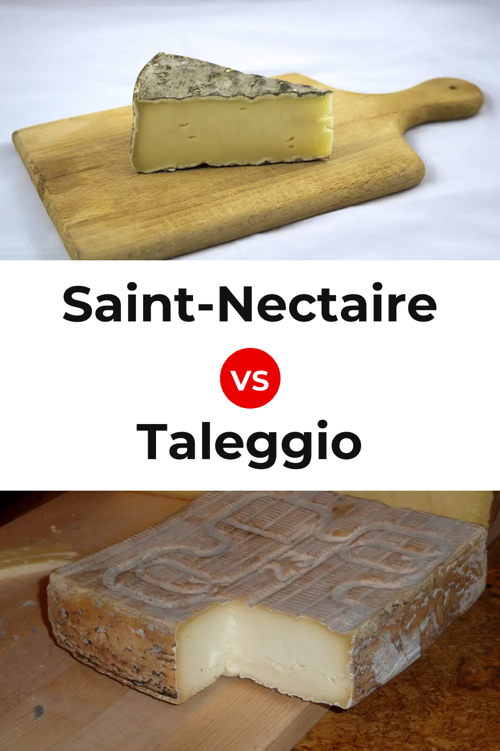 Saint-Nectaire Cheese vs Taleggio Cheese Pinterest comparison