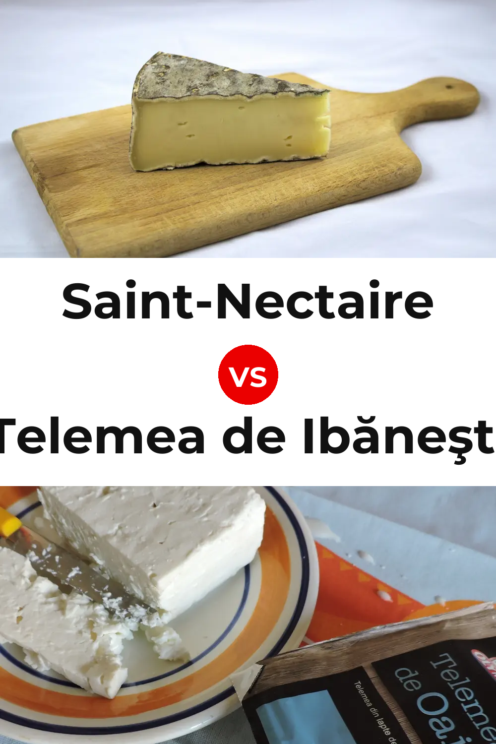 Saint-Nectaire Cheese vs Telemea de Ibăneşti Cheese Pinterest comparison