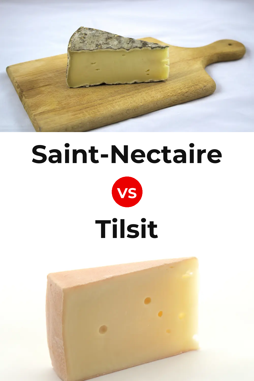 Saint-Nectaire Cheese vs Tilsit Cheese Pinterest comparison