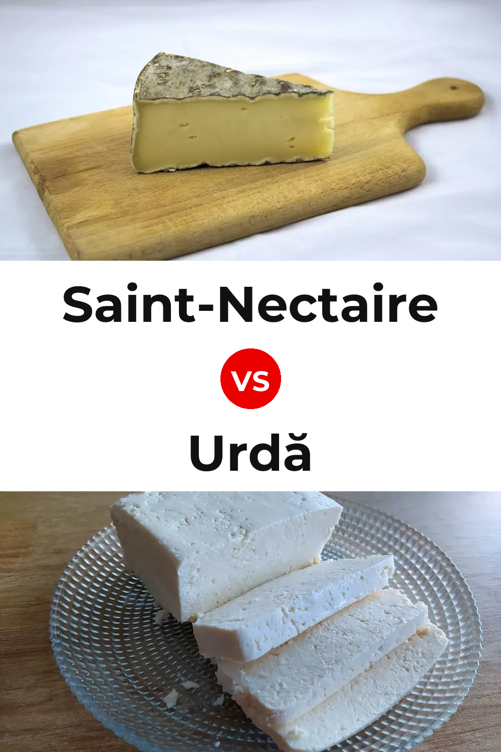 Saint-Nectaire Cheese vs Urdă Cheese Pinterest comparison