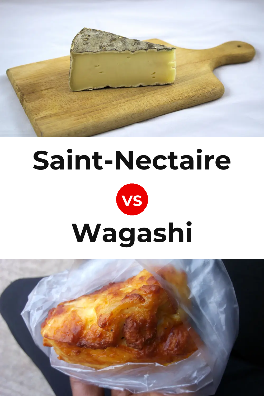 Saint-Nectaire Cheese vs Wagashi Cheese Pinterest comparison