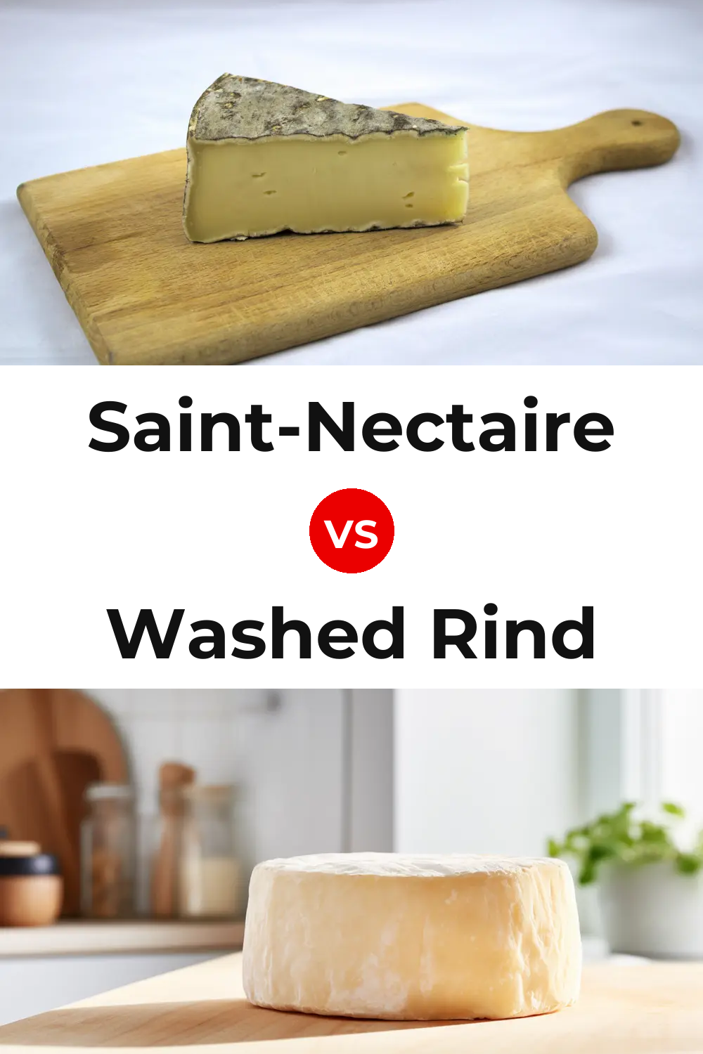 Saint-Nectaire Cheese vs Washed Rind Cheese Pinterest comparison