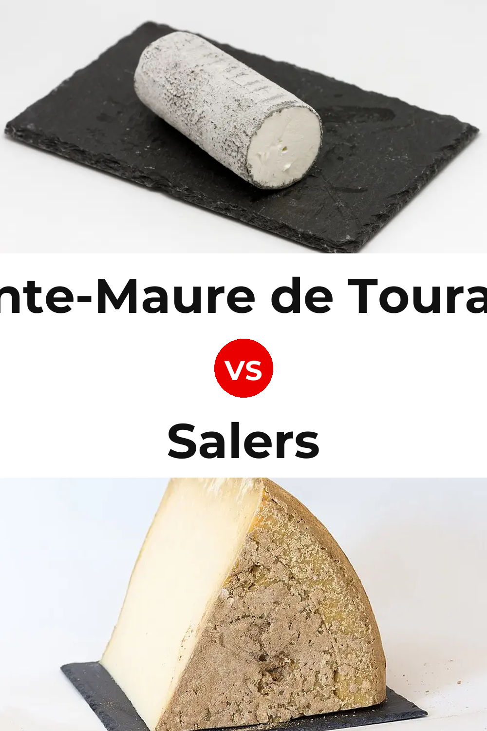Sainte-Maure de Touraine Cheese vs Salers Cheese Pinterest comparison