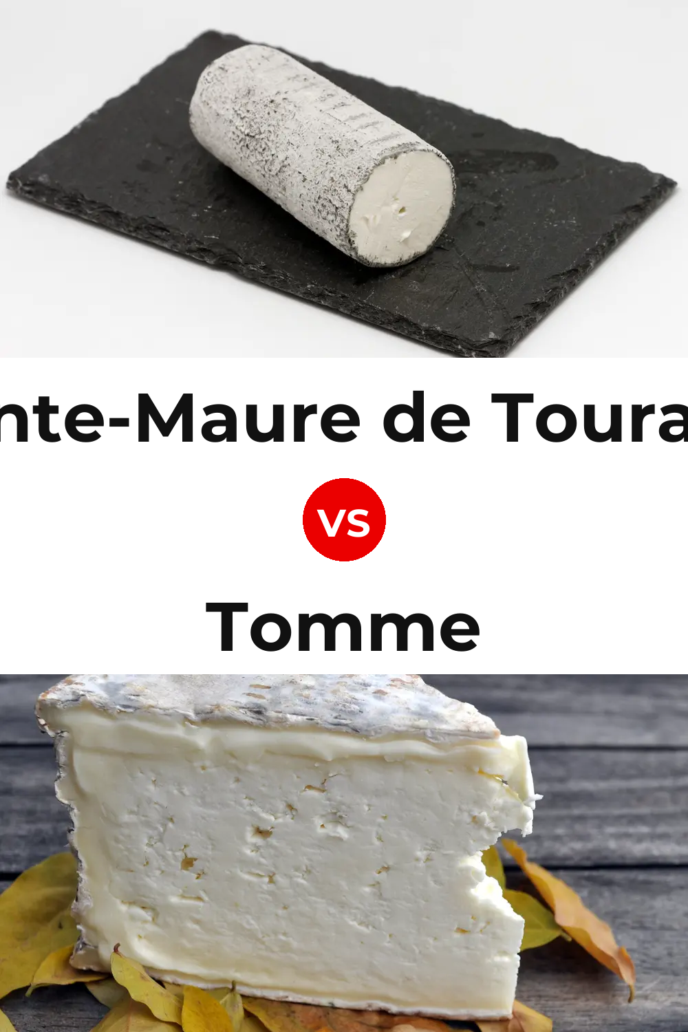 Sainte-Maure de Touraine Cheese vs Tomme Cheese Pinterest comparison
