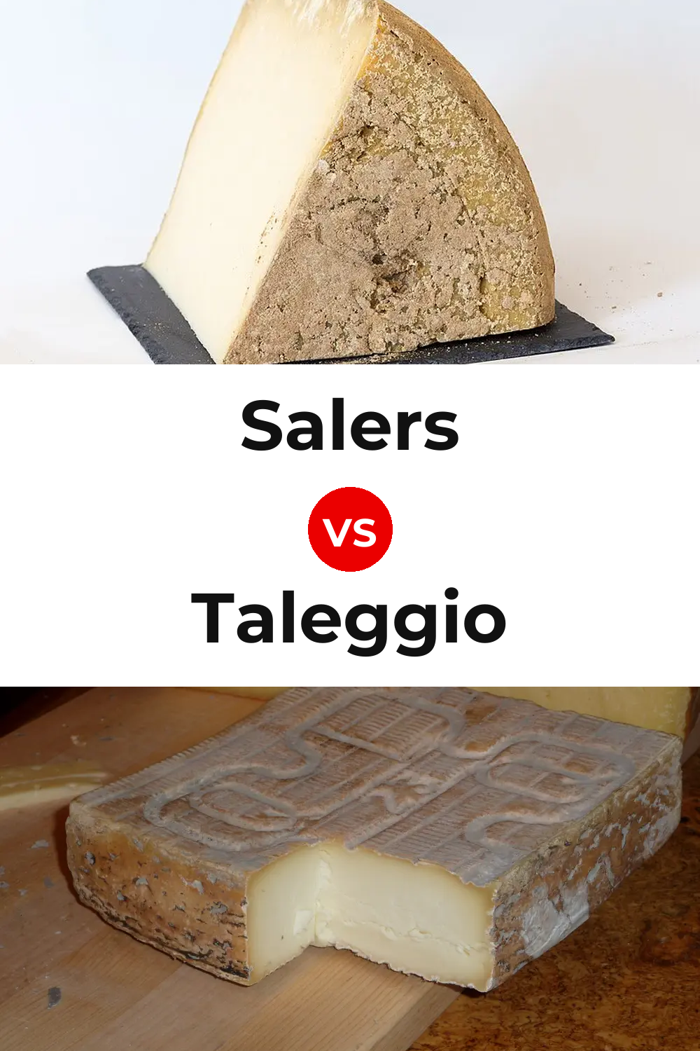 Salers Cheese vs Taleggio Cheese Pinterest comparison