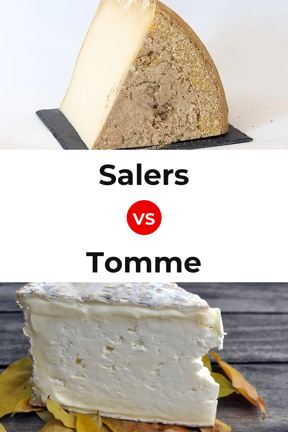 Salers Cheese vs Tomme Cheese Pinterest comparison