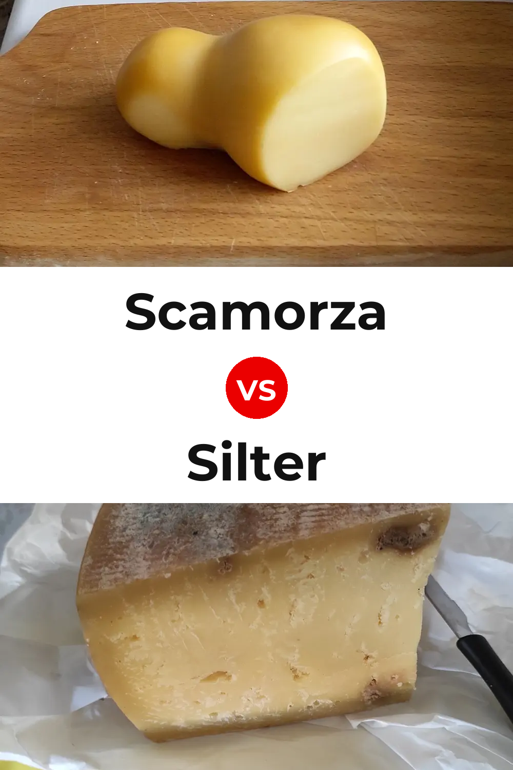 Scamorza Cheese vs Silter Cheese Pinterest comparison