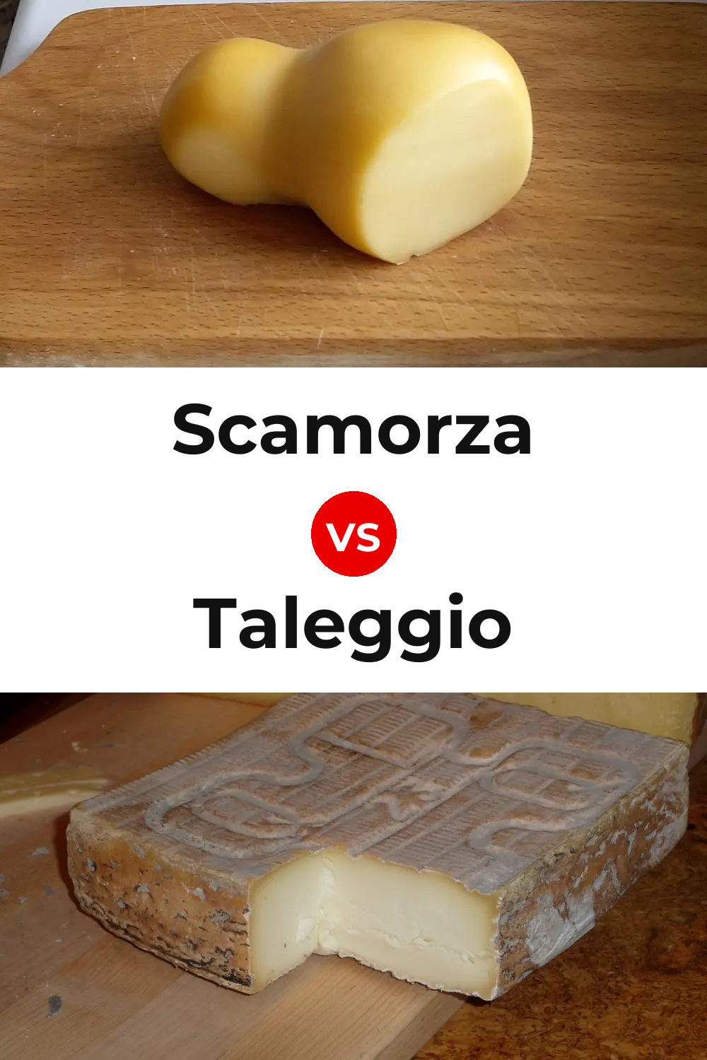 Scamorza Cheese vs Taleggio Cheese Pinterest comparison