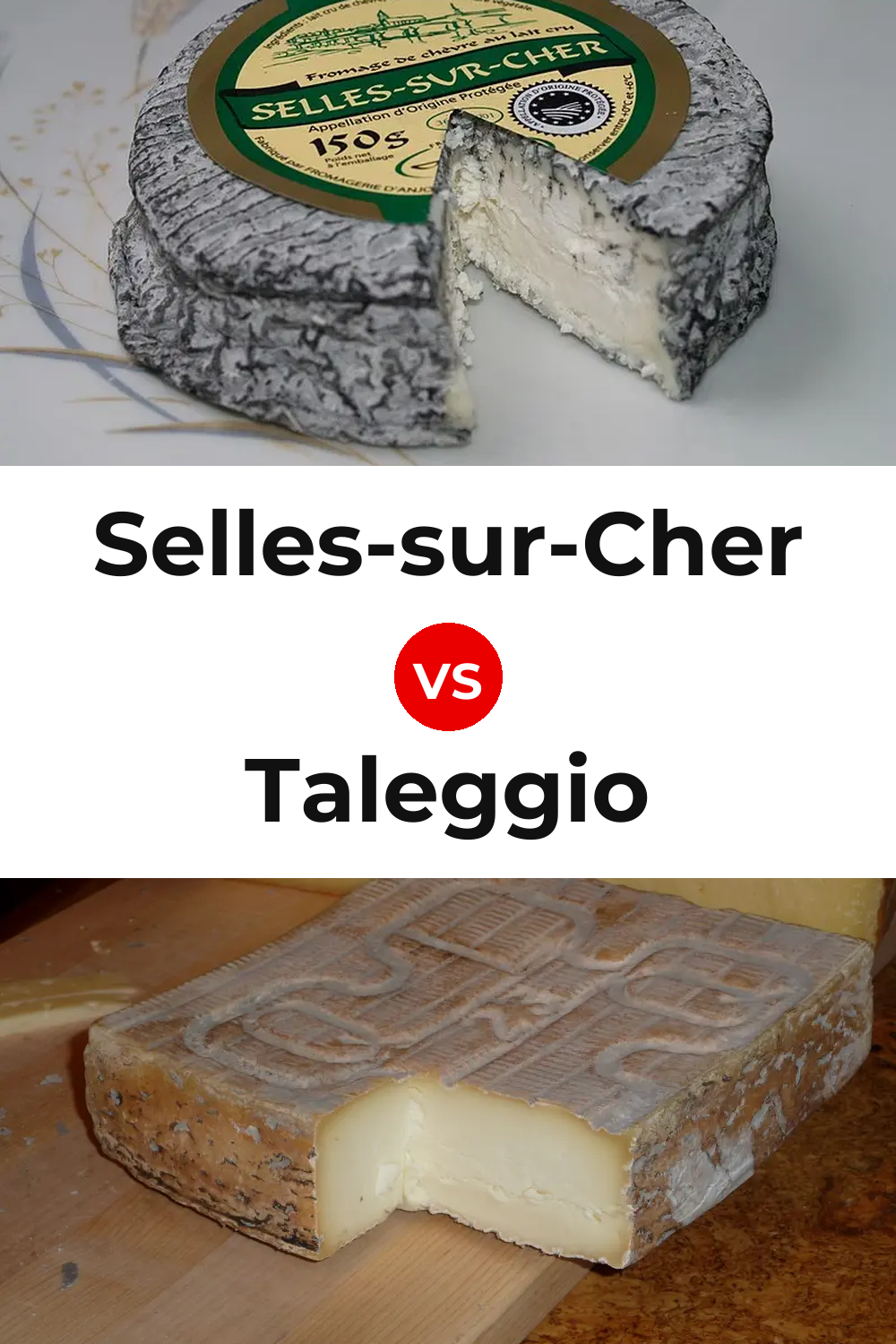Selles-sur-Cher Cheese vs Taleggio Cheese Pinterest comparison