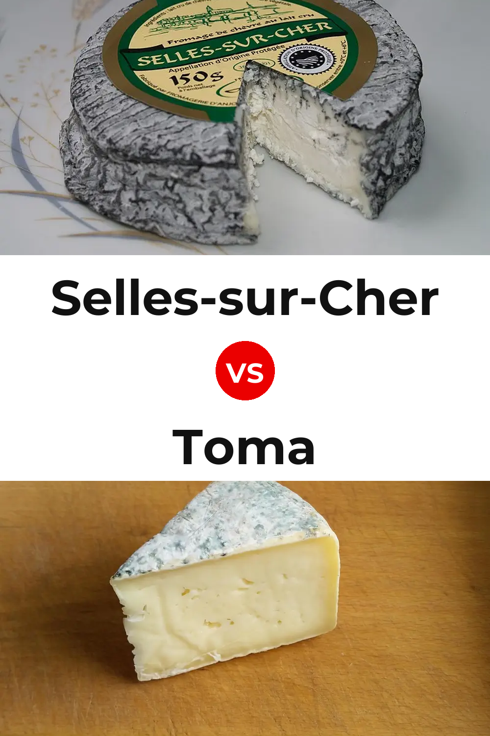 Selles-sur-Cher Cheese vs Toma Cheese Pinterest comparison